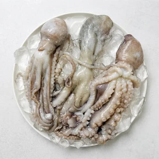 급냉 활 낙지 6미 1kg 1개