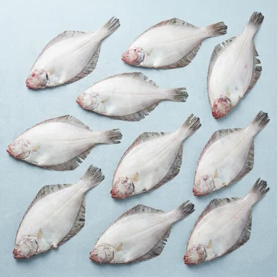 반건조 물가자미 중 냉동 1kg 10미 1개