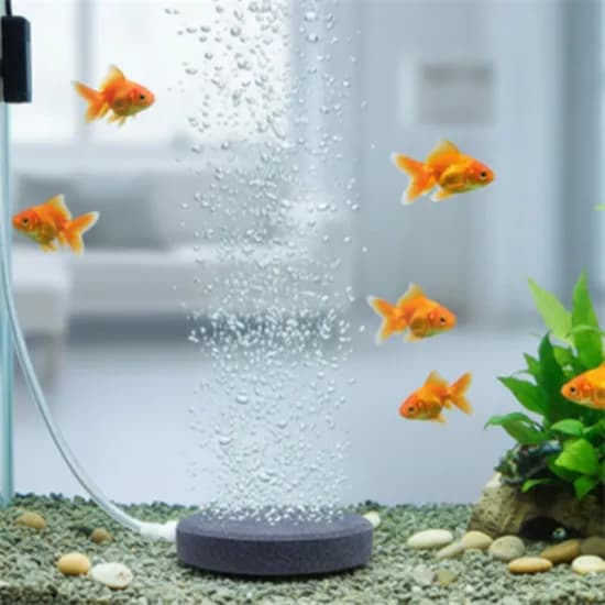 더샵이지 수조기포석 4cm 1개