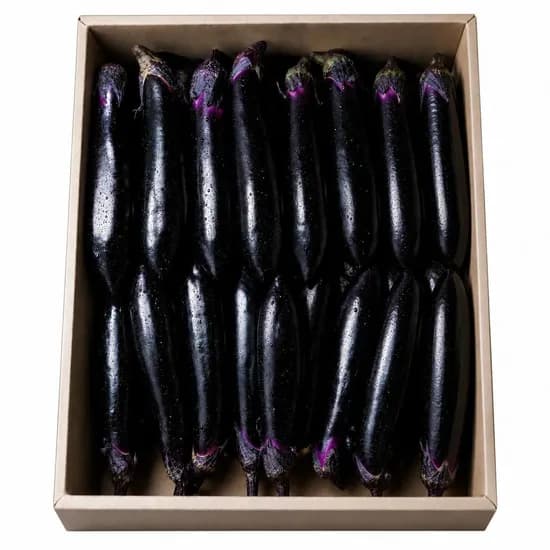 국내산 가지 2kg 1박스 7,731원