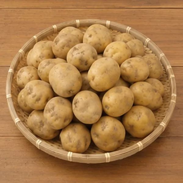 자연서온 국내산 수미감자 중 5kg 1박스 8,200원