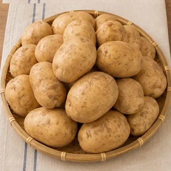 자연서온 국내산 수미감자 특 5kg 1박스 12,900원