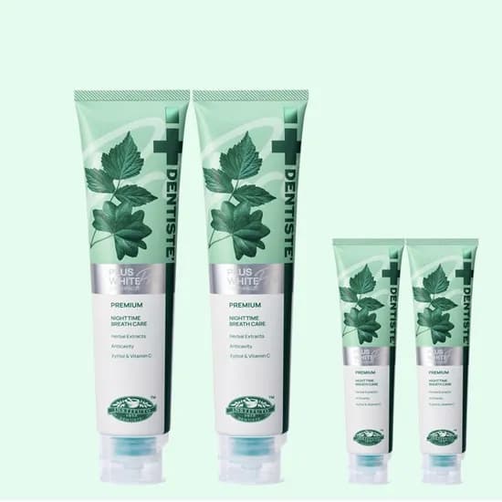 덴티스테 플러스화이트 프로 불소 치약 100g 2개