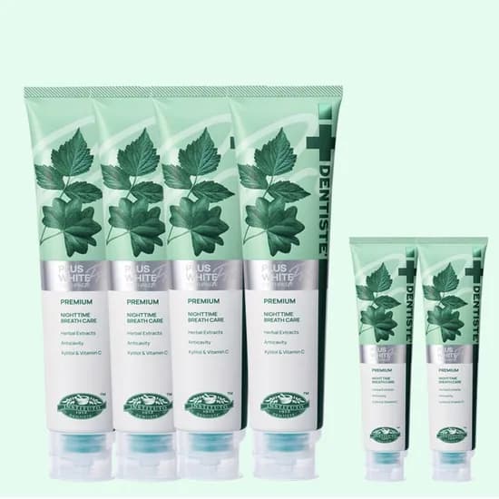덴티스테 플러스화이트 프로 불소 치약 100g 4개