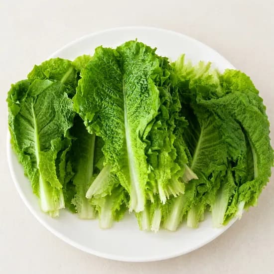 국내산 청상추 500g 1개