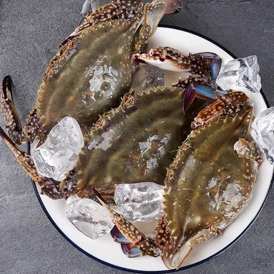 연평도 급냉 암꽃게 2kg 10-12미 1박스