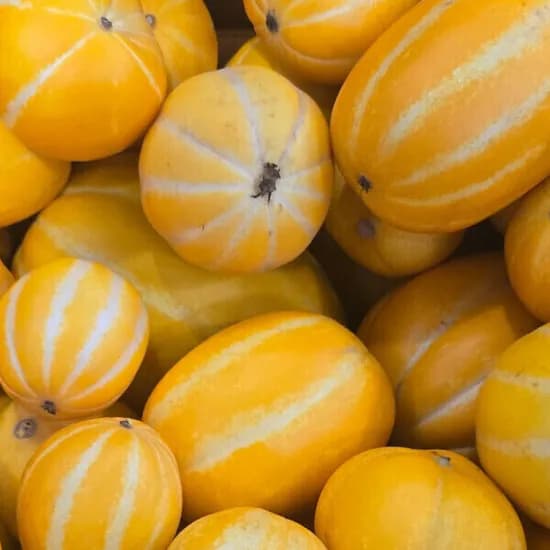성주 꿀참외 못난이 참외 랜덤혼합 10kg 1박스