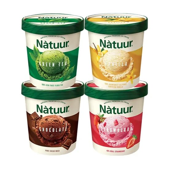 롯데웰푸드 나뚜루 파인트, 녹차 474ml 1개 + 바닐라 474ml 1개 + 초코 474ml 1개 + 스트로베리 474ml 1개, 4개