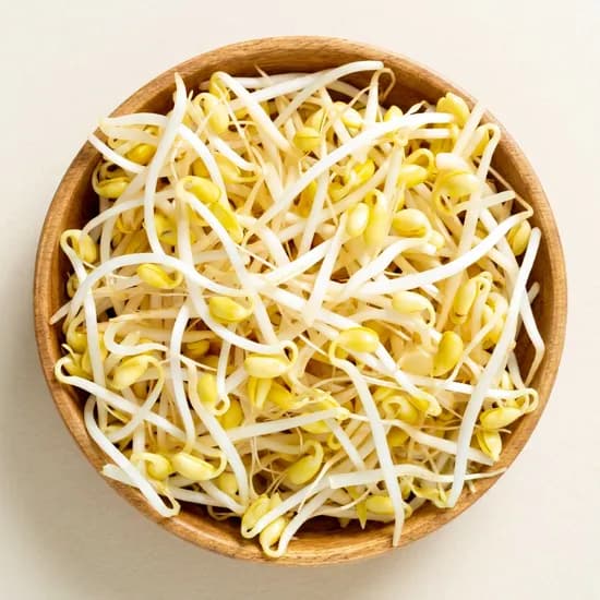 백년본가 국내산 무농약 인증 산소 콩나물 3kg 1개