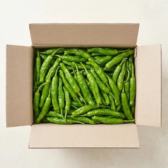 해돋이농산 국내산 꽈리고추 1kg 1개