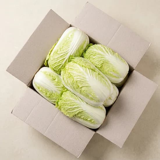 국내산 알배기배추 3kg 1개 22,000원