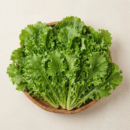 국내산 치커리 1kg 1개