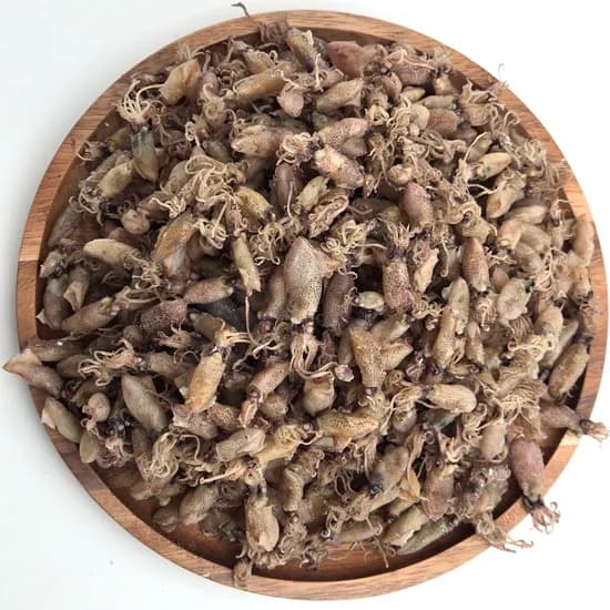 바다찬미 국내산 건조 건꼴뚜기 200g 1봉지