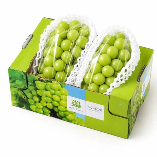 완충포장 샤인머스켓, 2kg, 1박스