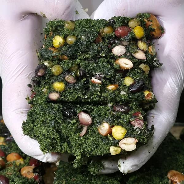 햇쑥과 5가지 콩이 가득한 쑥콩설기 1kg 1개