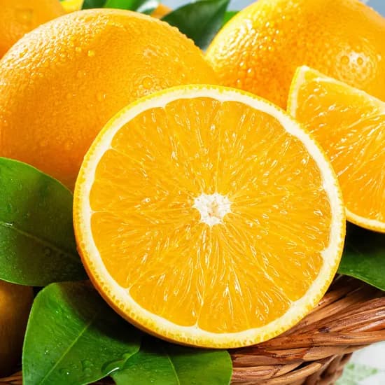 제주 산지직송 고당도 황금향 가정용 3kg 1박스