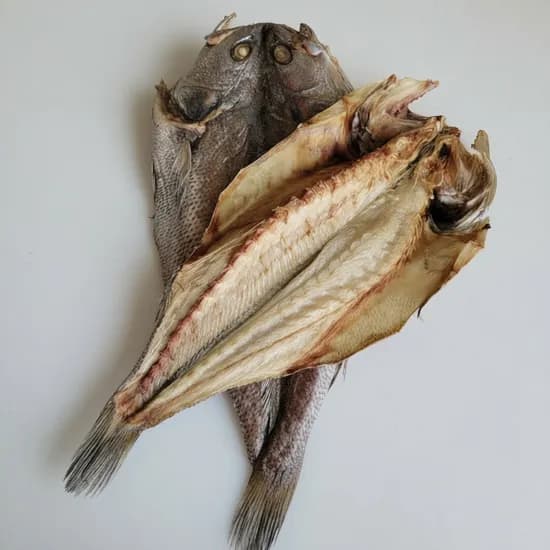 군산 반건조 민어 초특대 50cm 내외 1.5kg 3개