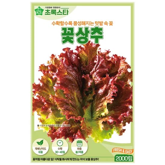 초록스타 꽃상추, 2000립, 1개
