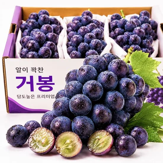 꿀농 씨적은 거봉 포도, 특품, 500g, 1박스