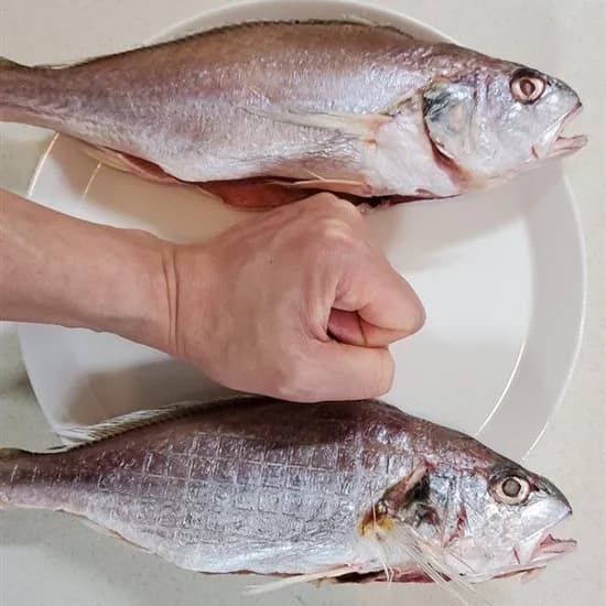 통영 반건조 손질 백조기 왕특대 내장손질 제수용 1미당 200-239g 3미
