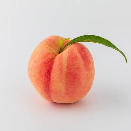 경북 딱딱이 백도 복숭아 대과 4kg 1개