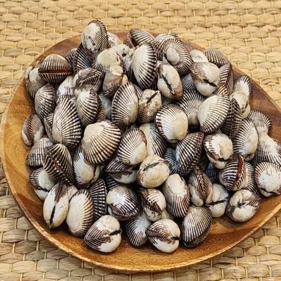당일 채취 국내산 벌교 새꼬막 3kg 1개