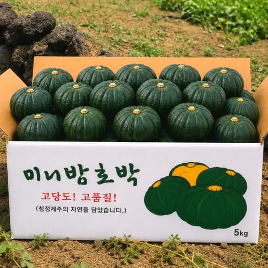 국내산 제주 미니단호박 밤호박, 로얄과, 정품, 5kg, 1박스