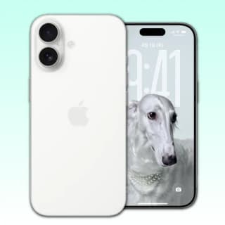 APPLE 아이폰17 256GB, 자급제
