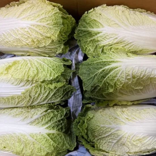 해돋이농산 알배기 배추 3kg 1박스