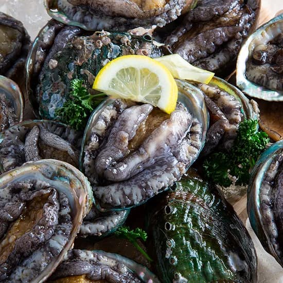 수연수산 완도 활전복, 특대, 1kg, 8-9미, 1박스