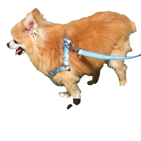 강아지 가슴보호 하네스 리드줄 소형견 1개