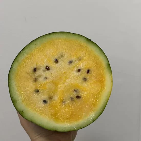 아임파인팜 제주 망고수박, 6kg, 1개