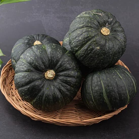 제주 미니밤호박 보우짱 정품, 10kg, 1박스