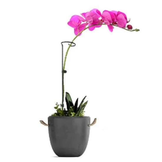 식물 줄기 가지 고정 지지대, 35cm, 1개