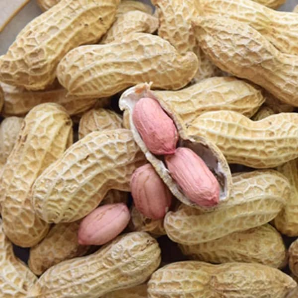 국내산 햇 피땅콩 3kg 1박스