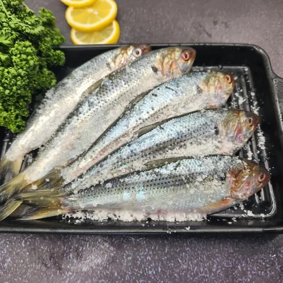 자연산 전어 구이용 1kg 1박스