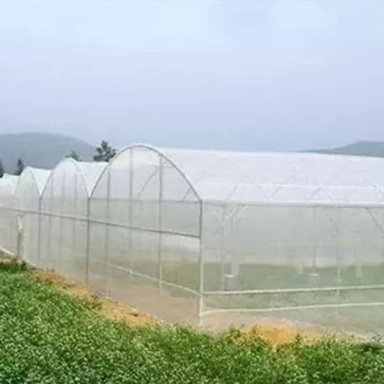 한냉사 해충방지망 2.5m x 20m 1개