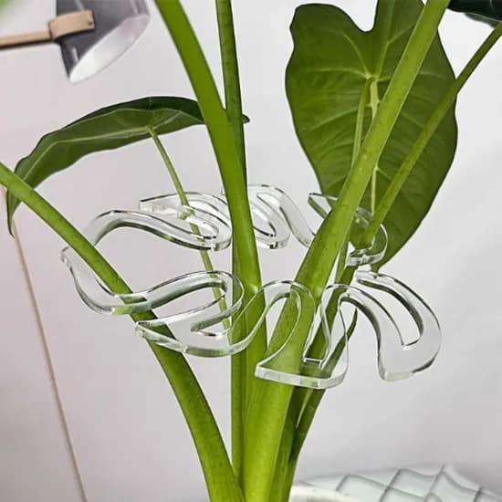 몬스테라 지지대 식물 화초 지지대 넝쿨 화분지지대 투명 13cm 4개