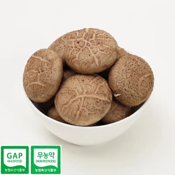 도담 산지직송 무농약 생표고버섯 못난이 GAP인증 1kg