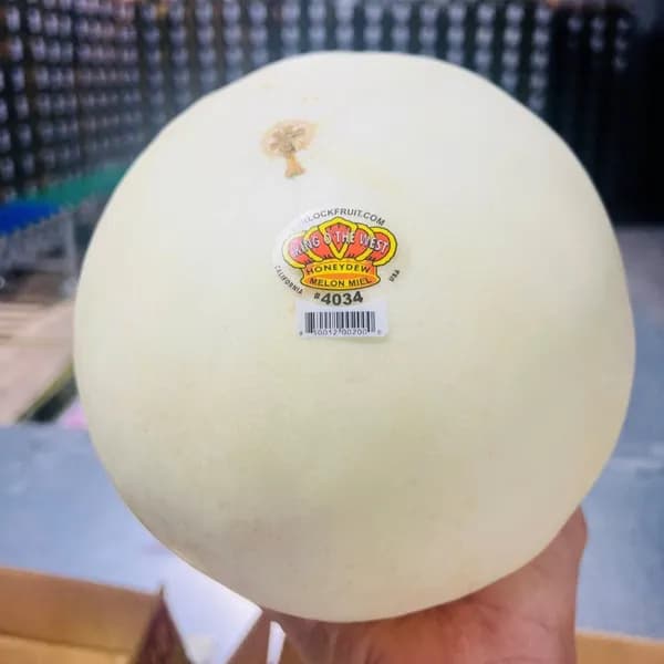 미국산 허니듀 멜론 특대과 2.4kg 1개