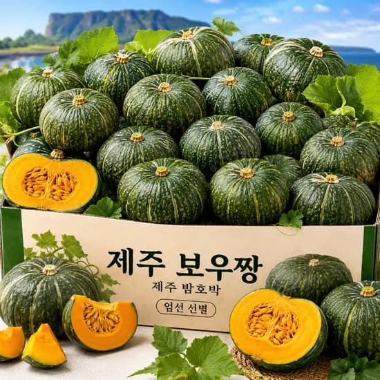 제주직송 미니 밤호박 보우짱 특품, 3kg, 1박스