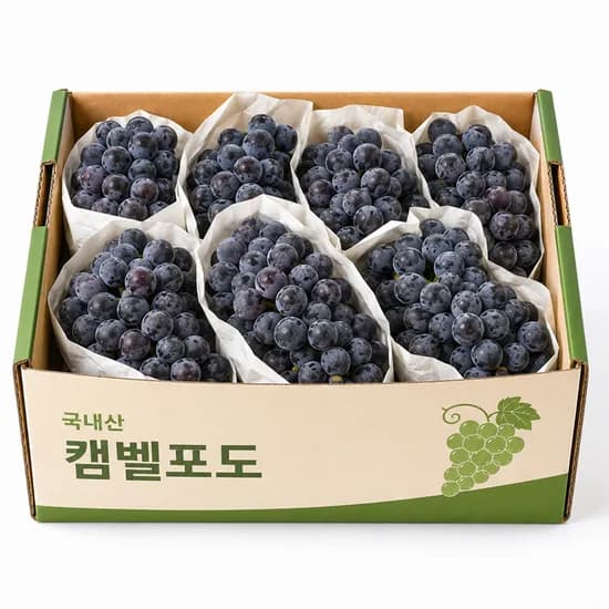 꿀농원 캠벨 포도 2kg 1박스