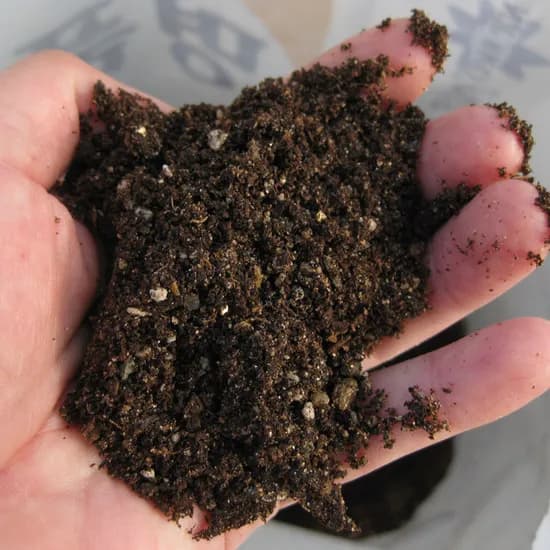 허브여울 분갈이흙, 500g, 1개