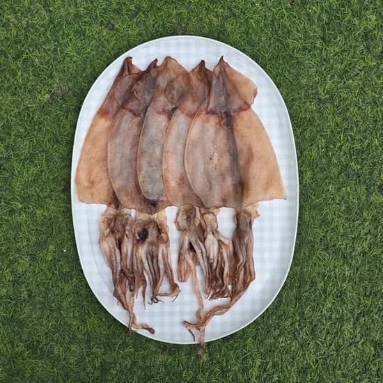 국내산 피데기 특대 반건조오징어 950g 5미 1개