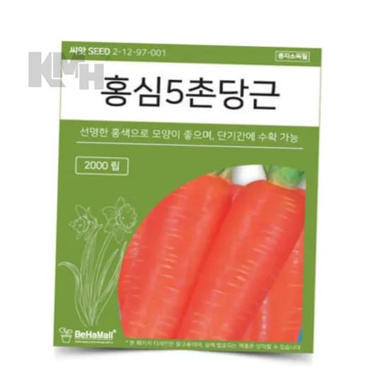 홍심5촌당근 씨앗 2000립 1개
