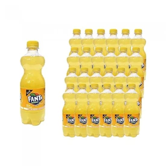 환타 파인 업소용 500ml 24페트