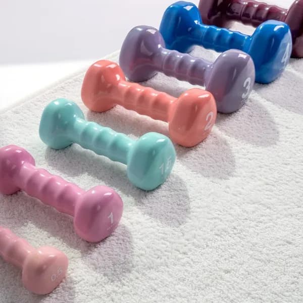 아이워너 PVC 삼각 아령 0.5kg 2개