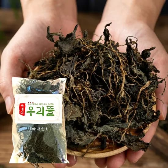 강원도 정선 국내산 건취나물 건조 100g 1봉 9,700원