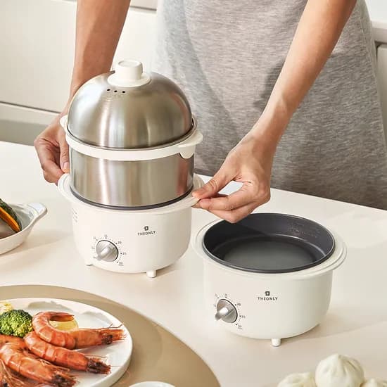디온리 25년형 논스틱코팅 전기 만능 계란찜기, NBE521S, 30분 타이머, 고온스팀, 1개