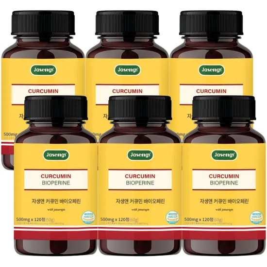 자생앤 커큐민 바이오페린 500mg 120정 6개